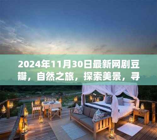2024年最新网剧豆瓣之旅，自然探索与内心宁静的寻找