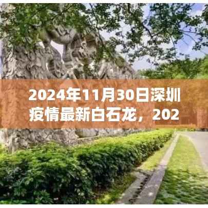 第619页