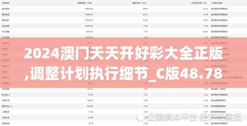 2024澳门天天开好彩大全正版,调整计划执行细节_C版48.784-9
