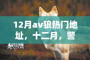 关于涉黄问题的深度解析，警惕网络陷阱，揭露十二月AV狼热门地址的危害与应对方法。
