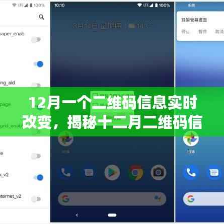 揭秘十二月二维码信息实时更新之谜，动态二维码实时改变探秘