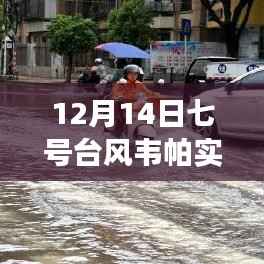 七号台风韦帕来袭，追寻内心平静的台风之旅