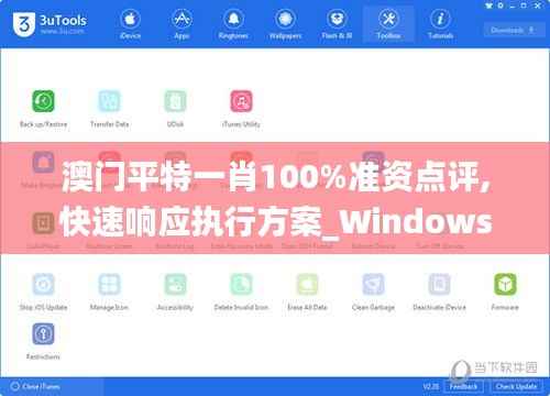 澳门平特一肖100%准资点评,快速响应执行方案_Windows18.248