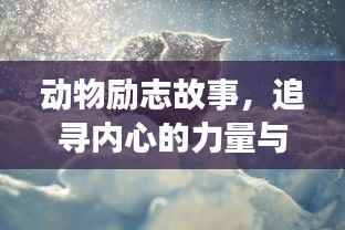 动物励志故事，追寻内心的力量与勇气，激发无限潜能！