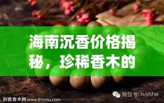 海南沉香价格揭秘，珍稀香木的价值探秘之旅