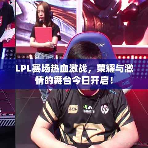 踊贵屦贱
