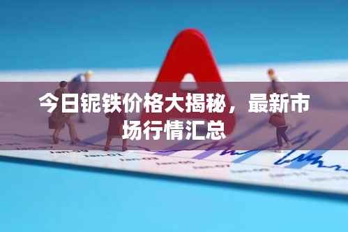 今日铌铁价格大揭秘，最新市场行情汇总
