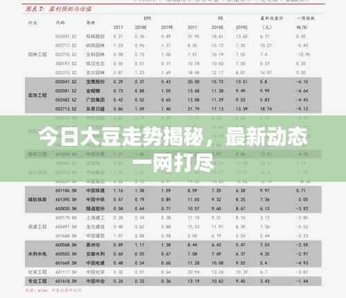 今日大豆走势揭秘，最新动态一网打尽