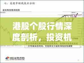 港股个股行情深度剖析，投资机会与风险并存