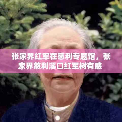 张家界红军在慈利专题馆,张家界慈利溪口红军树有感