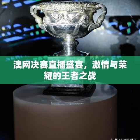 澳网决赛直播盛宴，激情与荣耀的王者之战