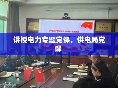 讲授电力专题党课，供电局党课 