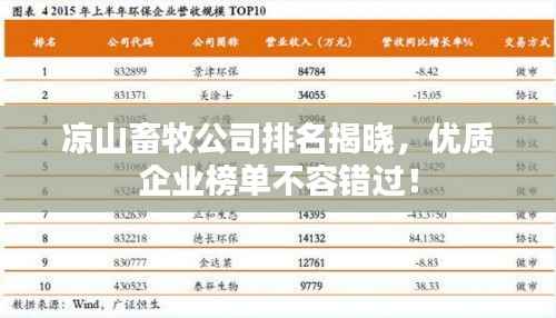 眉清目秀