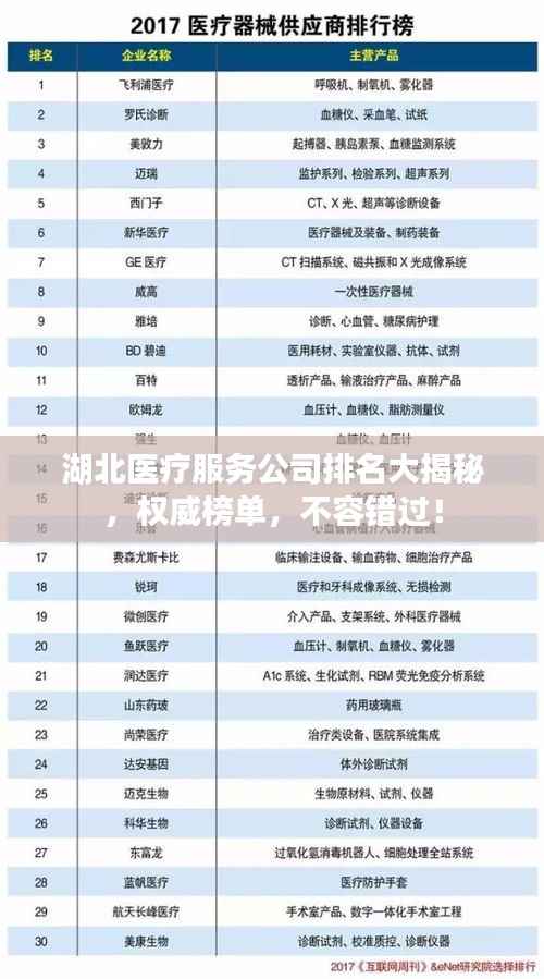 湖北医疗服务公司排名大揭秘，权威榜单，不容错过！